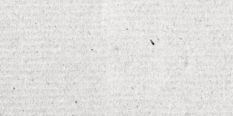 Close-up of Fine Art paper surface showing its texture and sheen