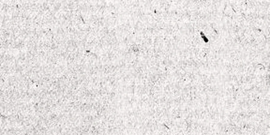 Close-up of Linen paper surface showing its texture and sheen